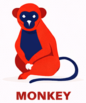 Monkey