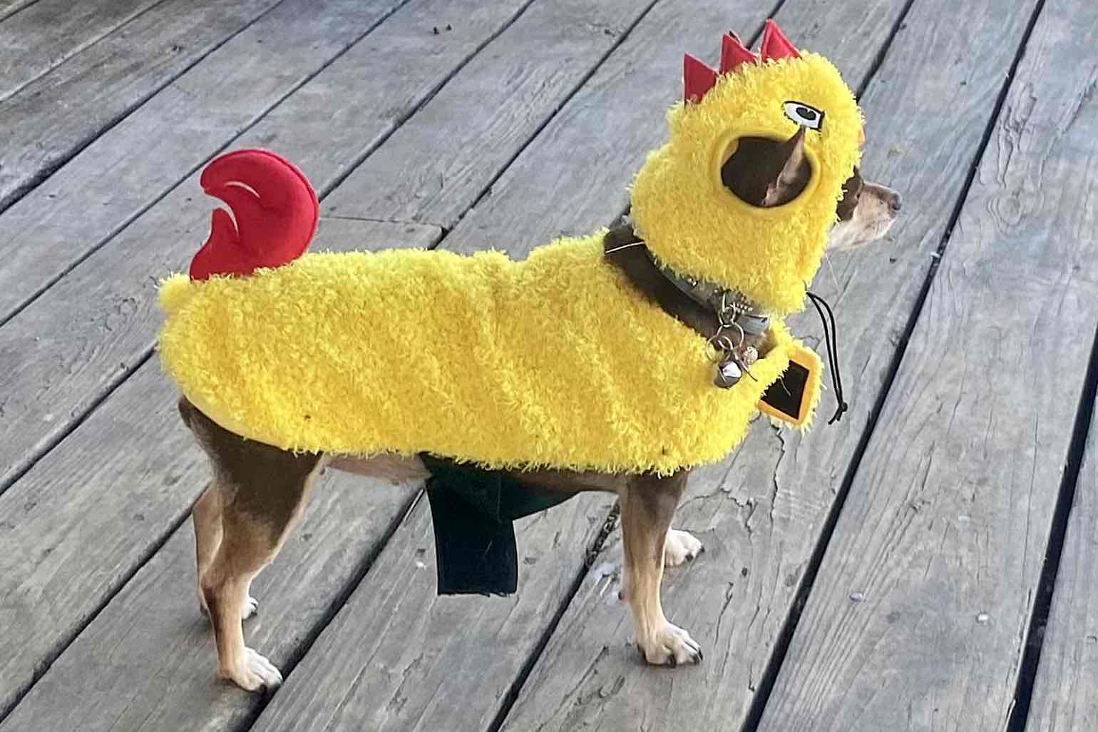 xx